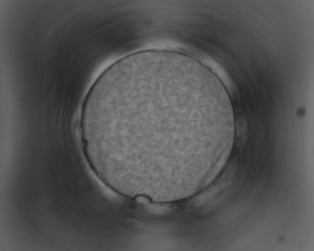 X0000100841103200807180914