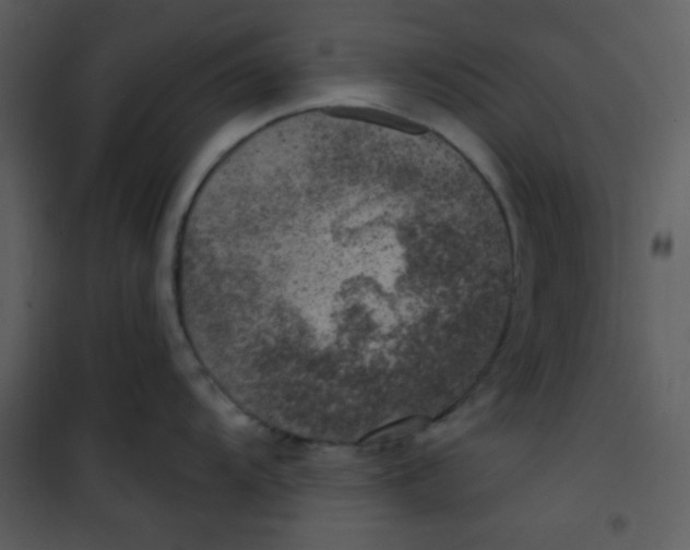 X0000100841104200807180914