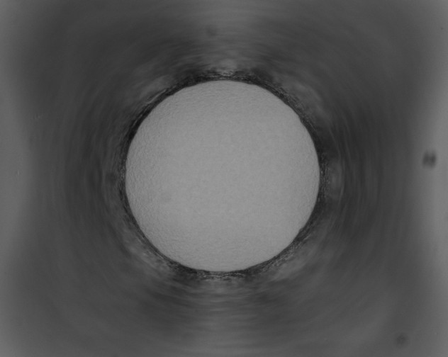 X0000100841105200807180914