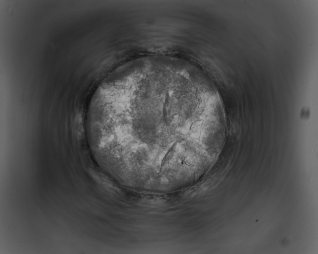 X0000100841106200807180914