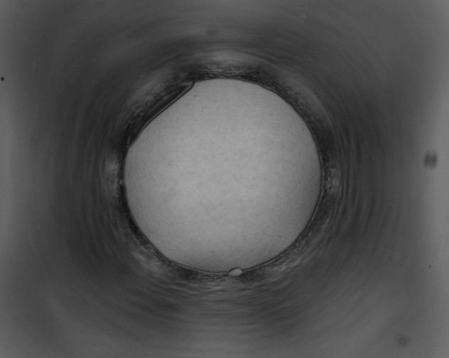 X0000100841108200807180914