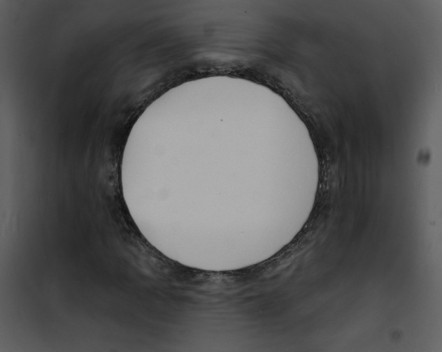 X0000100841109200807180914