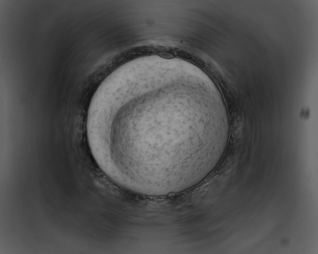 X0000100841110200807180914