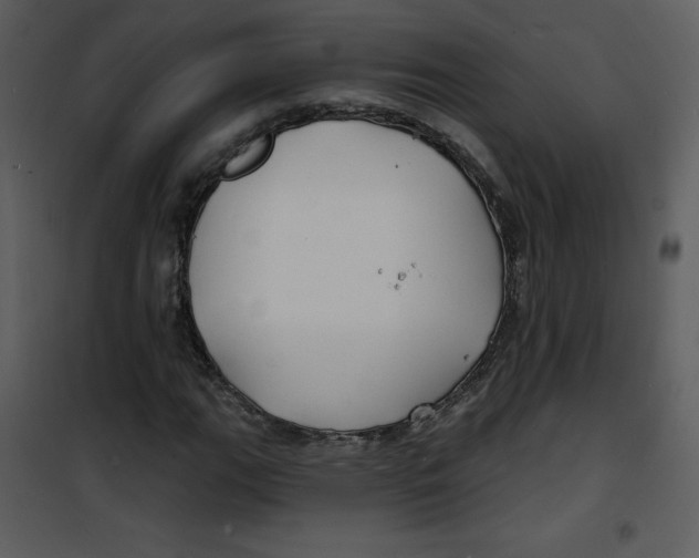 X0000100841111200807180914