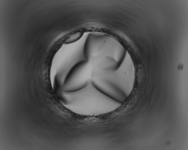 X0000100841112200807180914