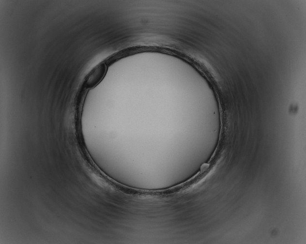 X0000100841114200807180914