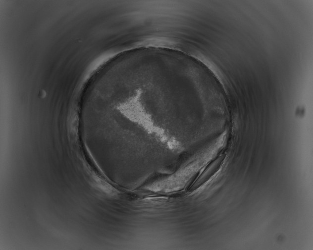 X0000100841115200807180914