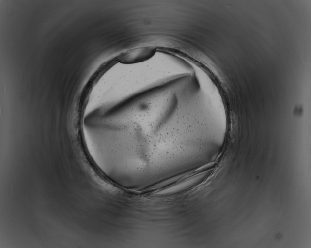 X0000100841116200807180914