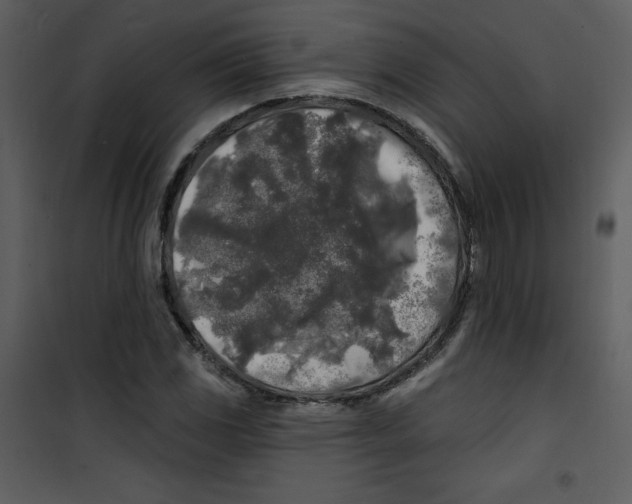 X0000100841117200807180914