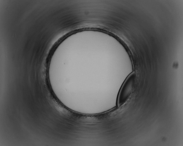 X0000100841119200807180914