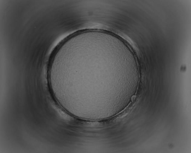 X0000100841120200807180914