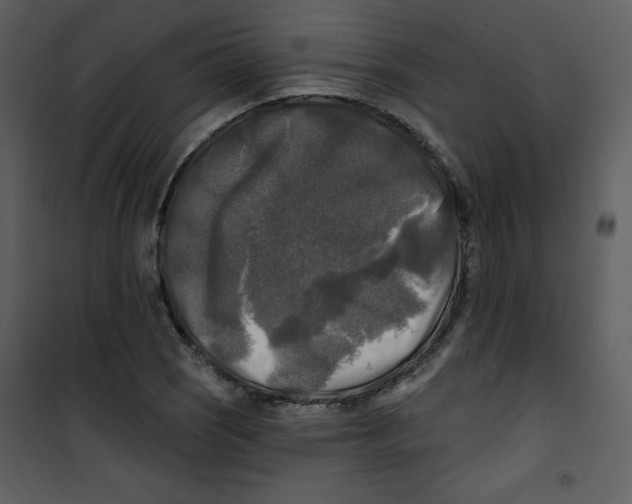 X0000100841121200807180914