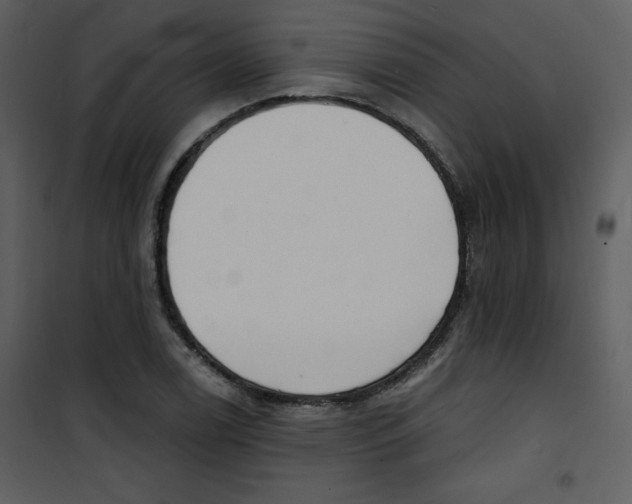 X0000100841122200807180914