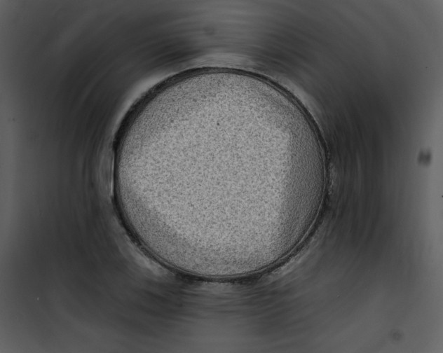 X0000100841123200807180914