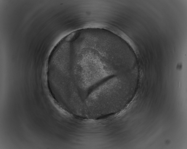 X0000100841124200807180914