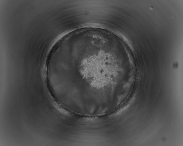 X0000100841125200807180914