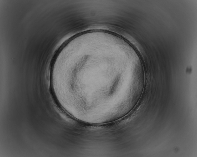 X0000100841127200807180914