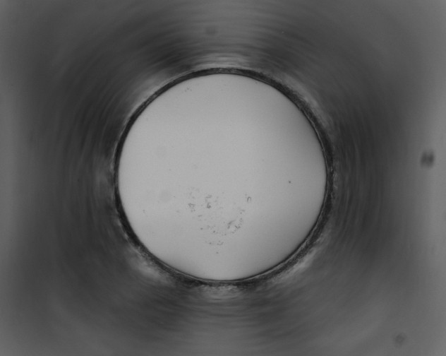 X0000100841129200807180914