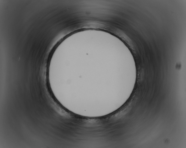 X0000100841130200807180914