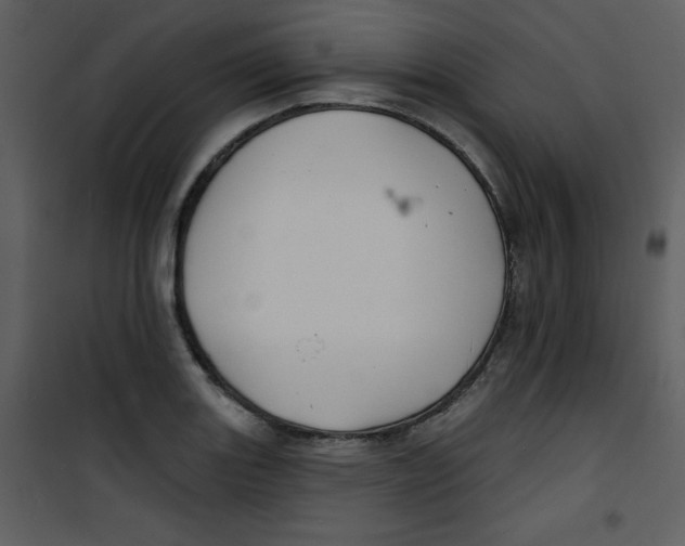 X0000100841131200807180914