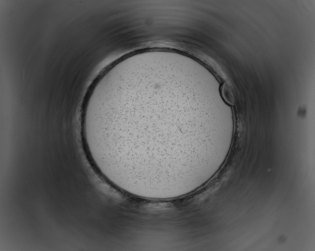 X0000100841133200807180914