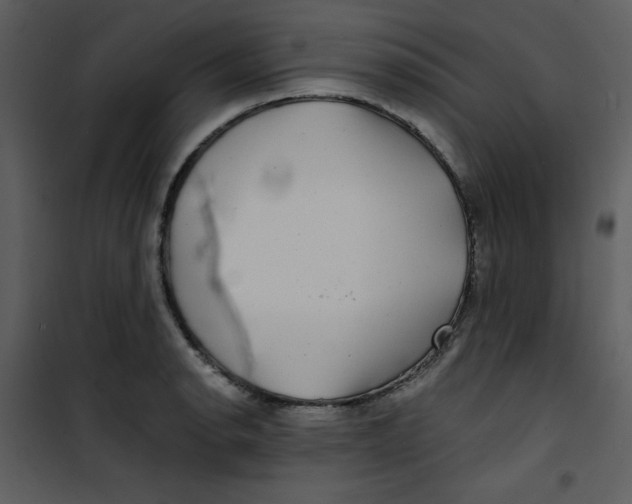 X0000100841134200807180914