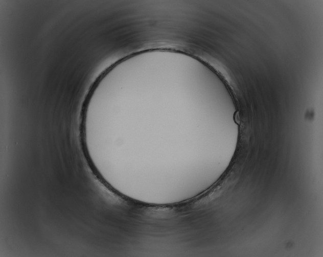 X0000100841135200807180914