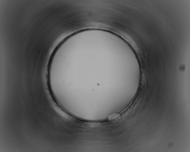 X0000100841136200807180914