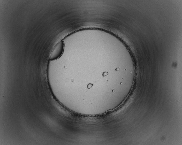 X0000100841137200807180914