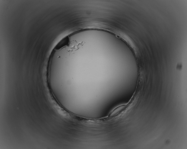 X0000100841138200807180914