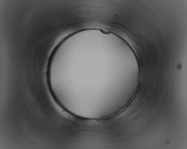 X0000100841139200807180914