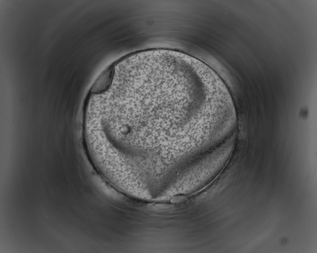 X0000100841140200807180914