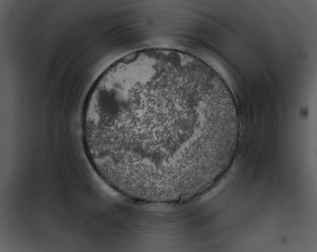 X0000100841141200807180914