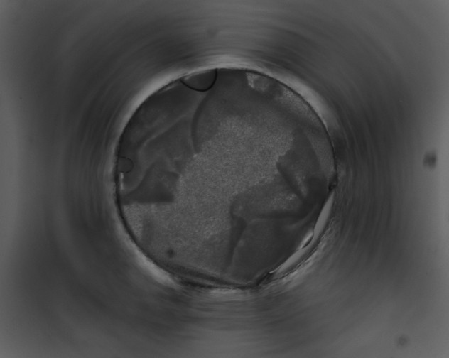 X0000100841142200807180914