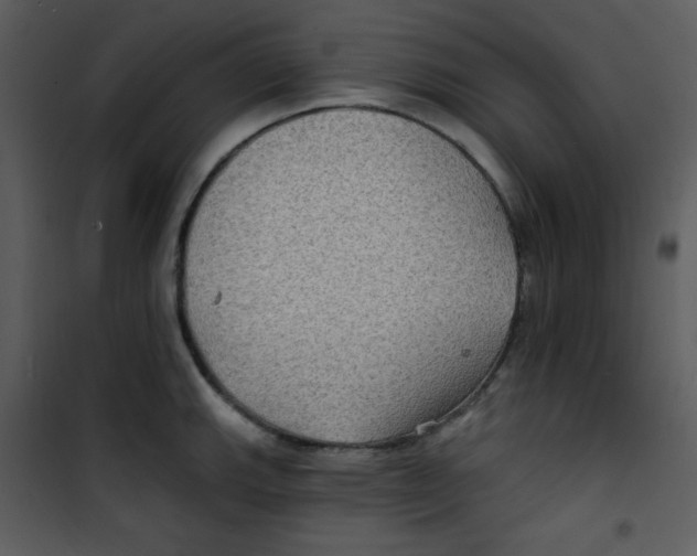 X0000100841143200807180914