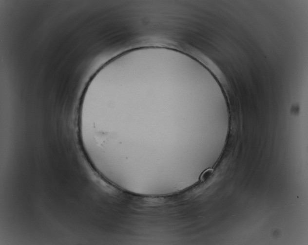 X0000100841144200807180914