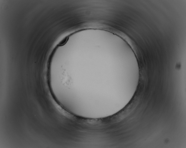 X0000100841147200807180914