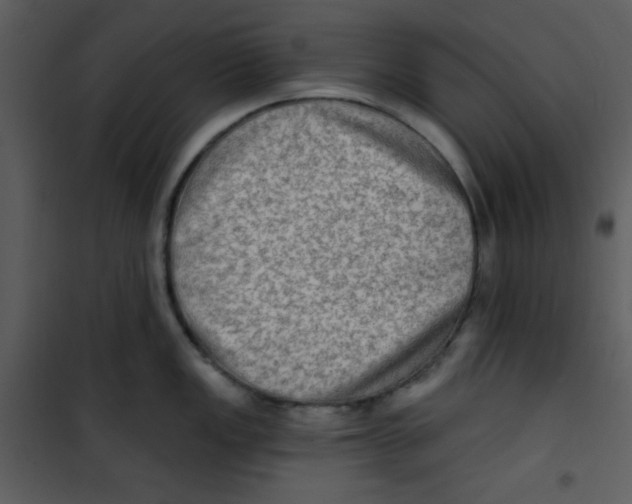 X0000100841149200807180914