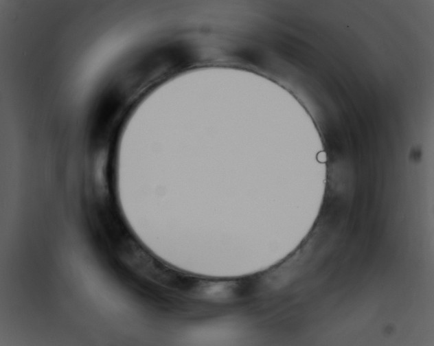 X0000100841150200807180914