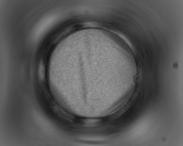 X0000100841151200807180914