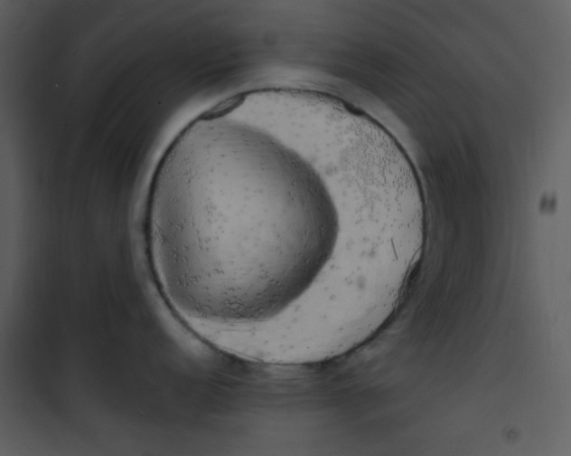 X0000100841152200807180914