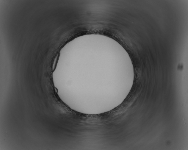 X0000100841153200807180914