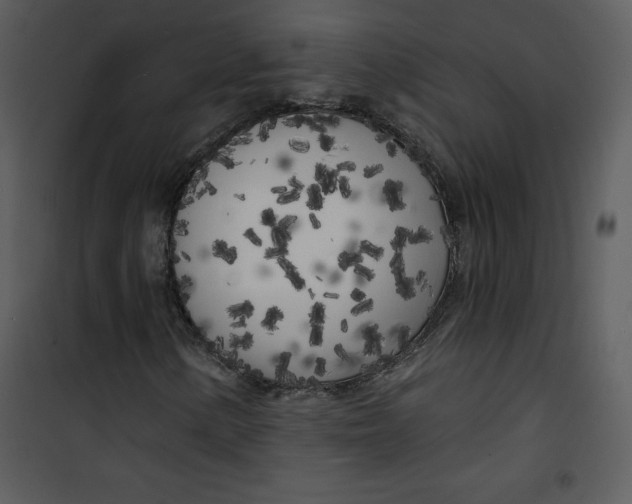 X0000100841154200807180914