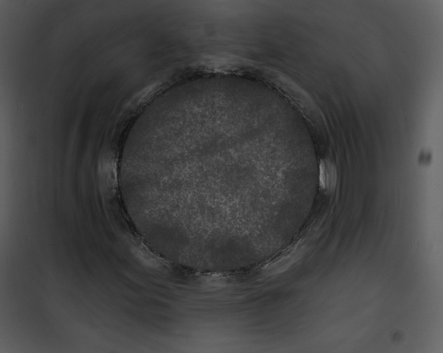 X0000100841155200807180914