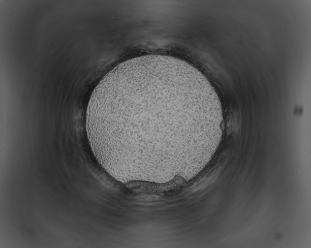 X0000100841156200807180914