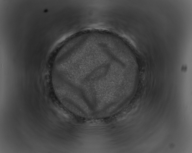 X0000100841159200807180914