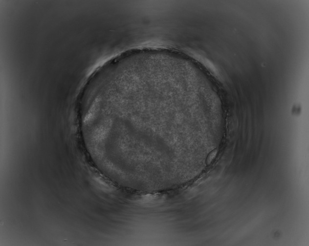 X0000100841160200807180914