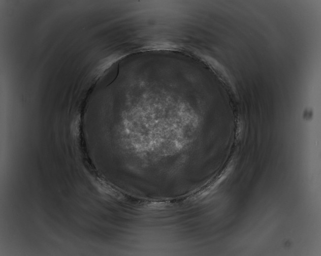 X0000100841161200807180914