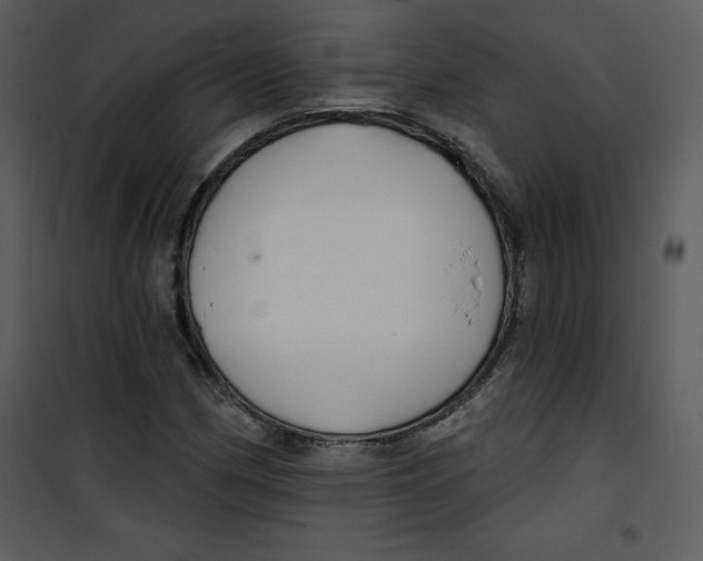 X0000100841162200807180914