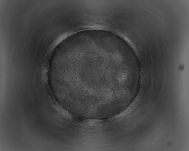 X0000100841163200807180914